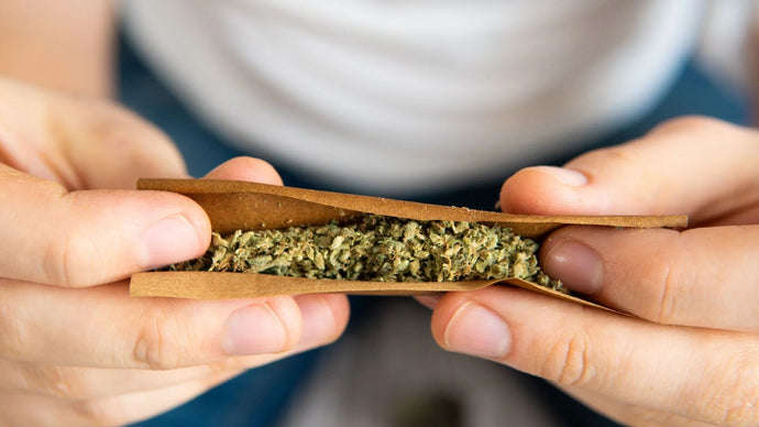 How to Roll the Perfect Blunt (For Beginners)